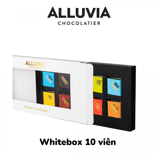whitebox-10-pcs-dark-chocolate-alluvia-chocolate-hop-qua-socola-10-vien